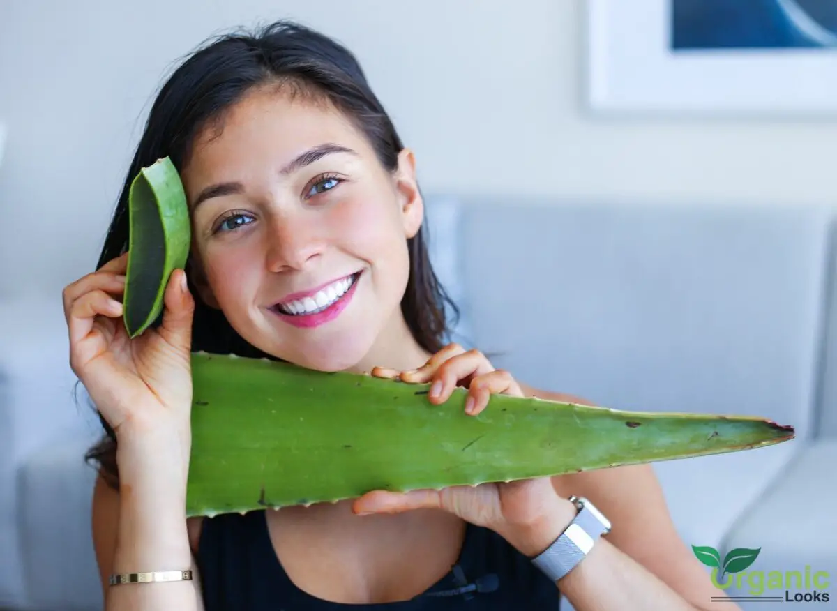Aloe Vera: 10 Essential Benefits for Your Body