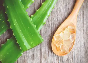5 Organic Aloe Vera Gels (and Why You Should Care)